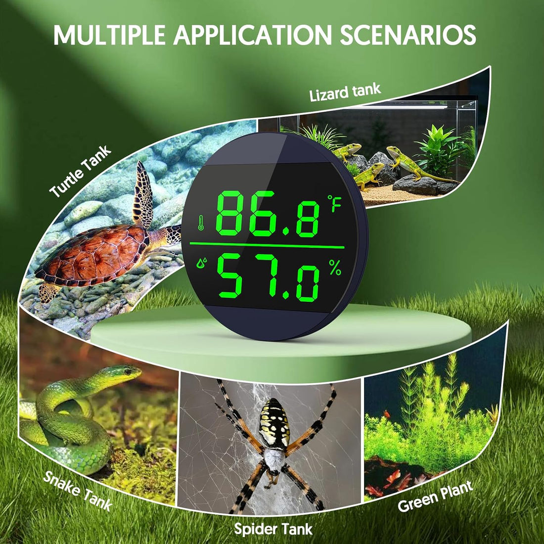 QZQ Reptile Thermometer and Humidity Gauge, Digital Display, Blue