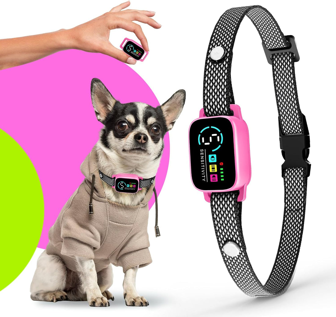 Bark Collar for Small Dogs 8-40 Ibs