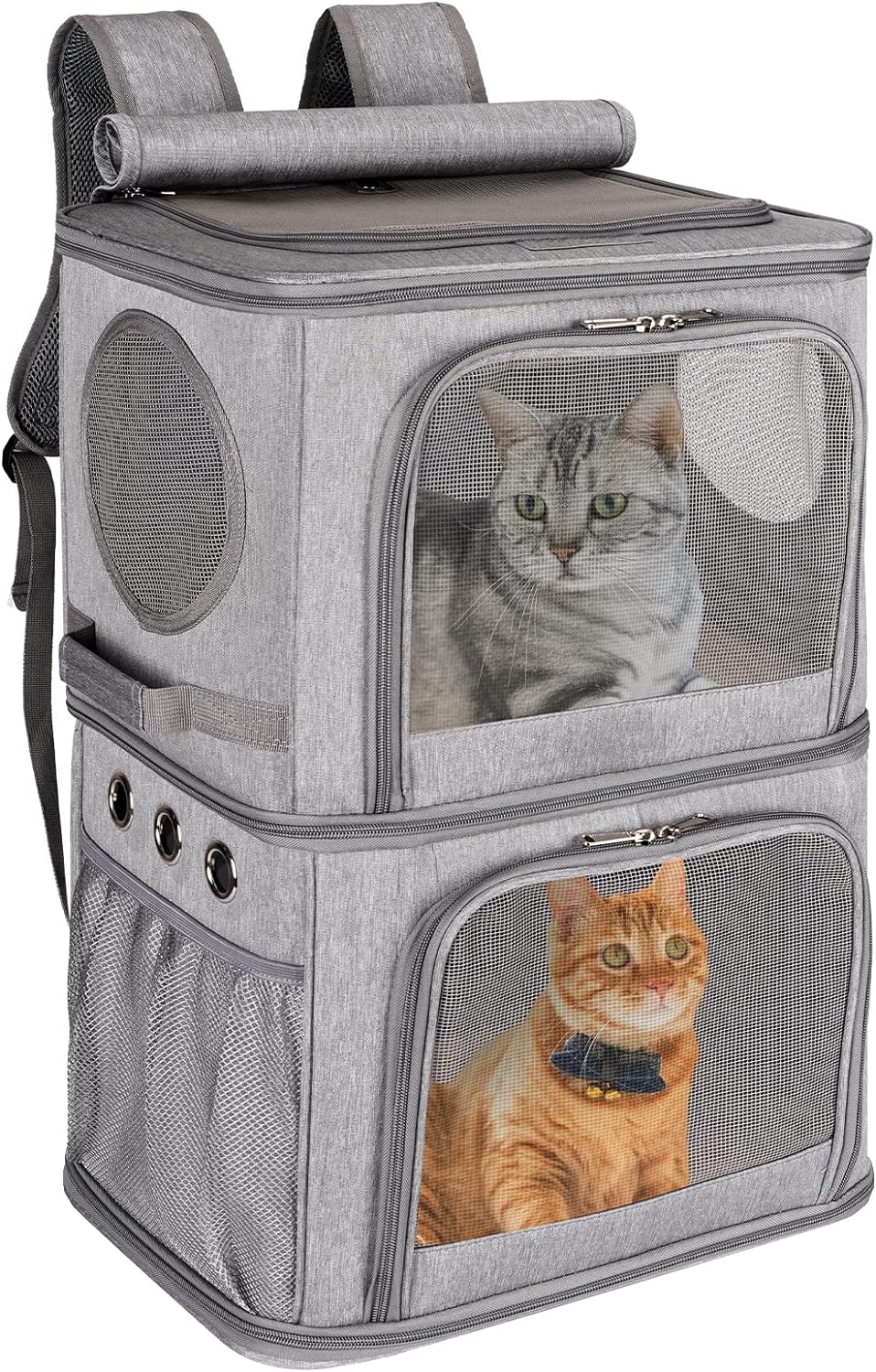 2-in-1 Double Pet Carrier Backpack for Small Cats & Dogs