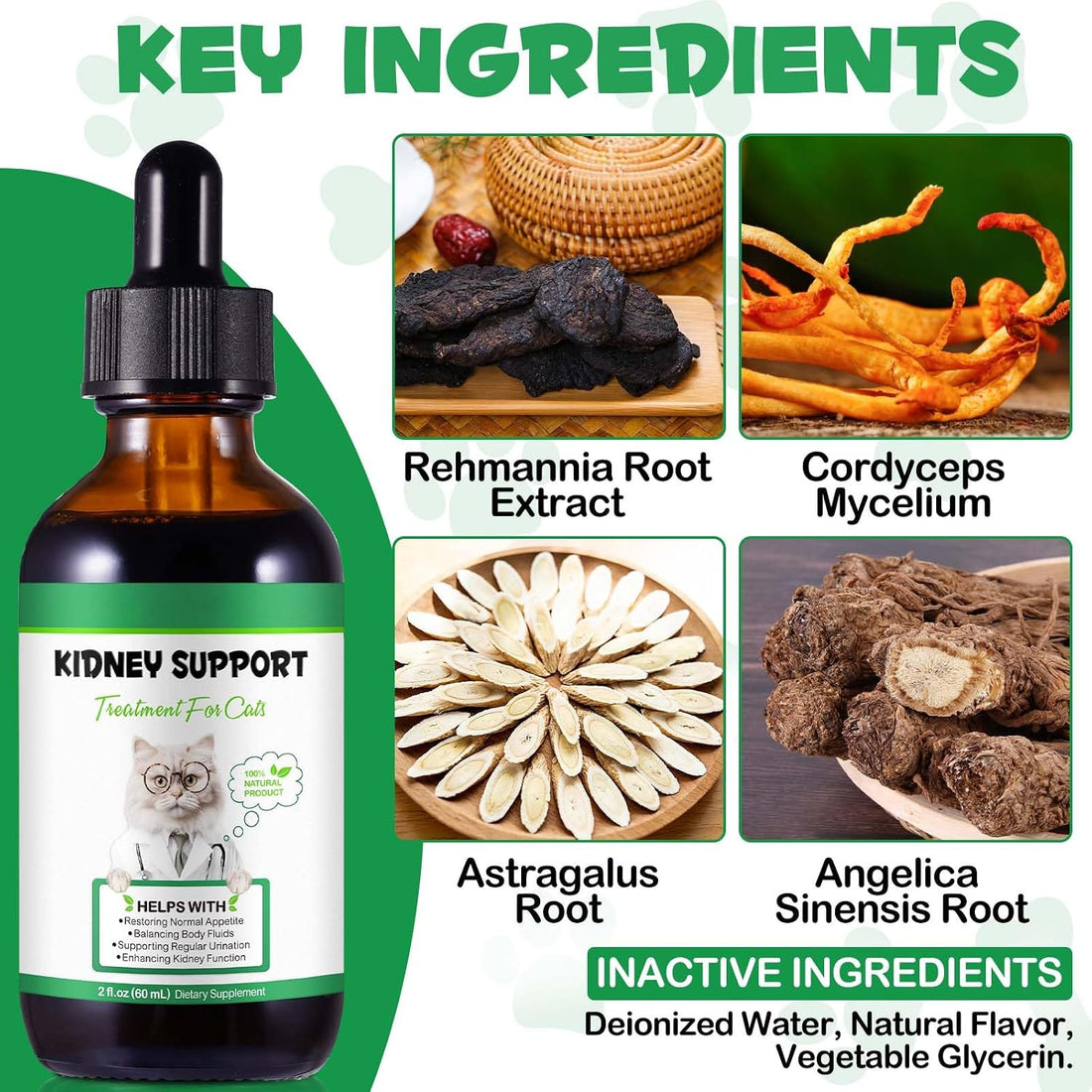 Kidney Support for Cats, Cat Kidney Treatment Support Normal Kidney