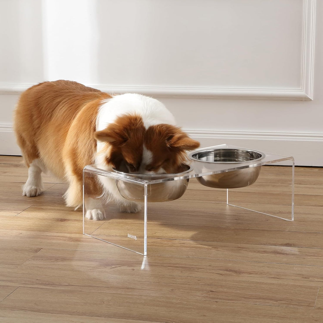 THE LICKER Store DBL2001A Keaton 7.5" Medium/Large Modern Lucite