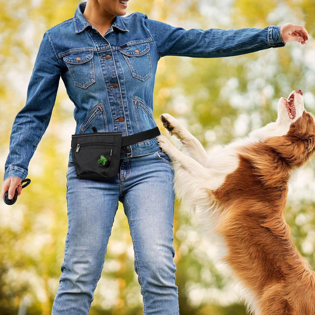 Gobeigo Dog Treat Pouch and Training Clicker