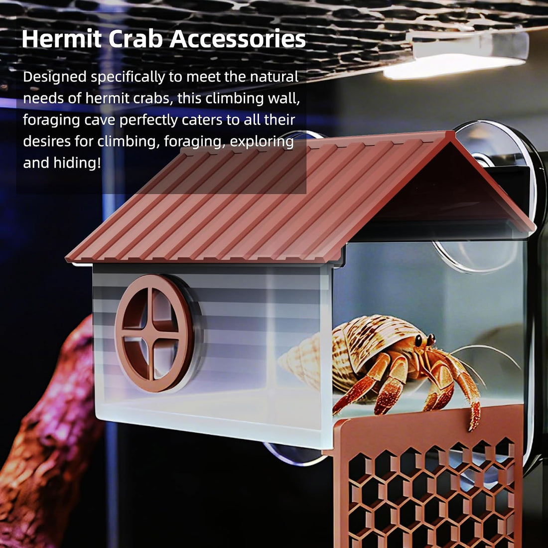 Hermit Crab Accessories | Hermit Crab Climbing Toys with Climbing Wall