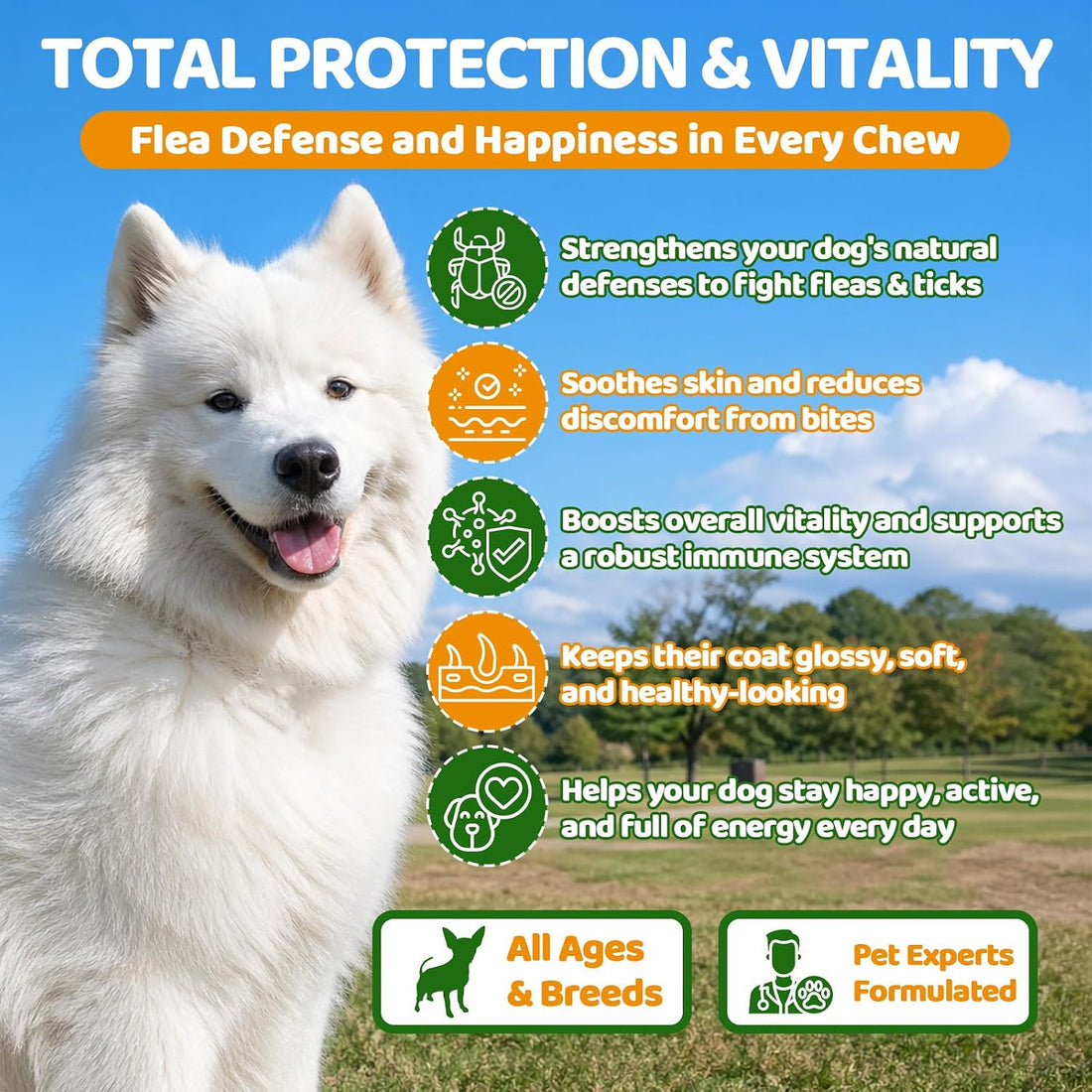 Flea and Tick Prevention for Dogs Chewables with Multivitamins, 500ct
