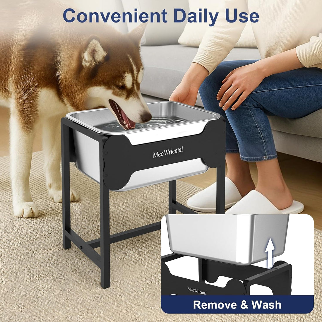 2.5 Gallon Elevated Dog Water Bowl for Large Breeds