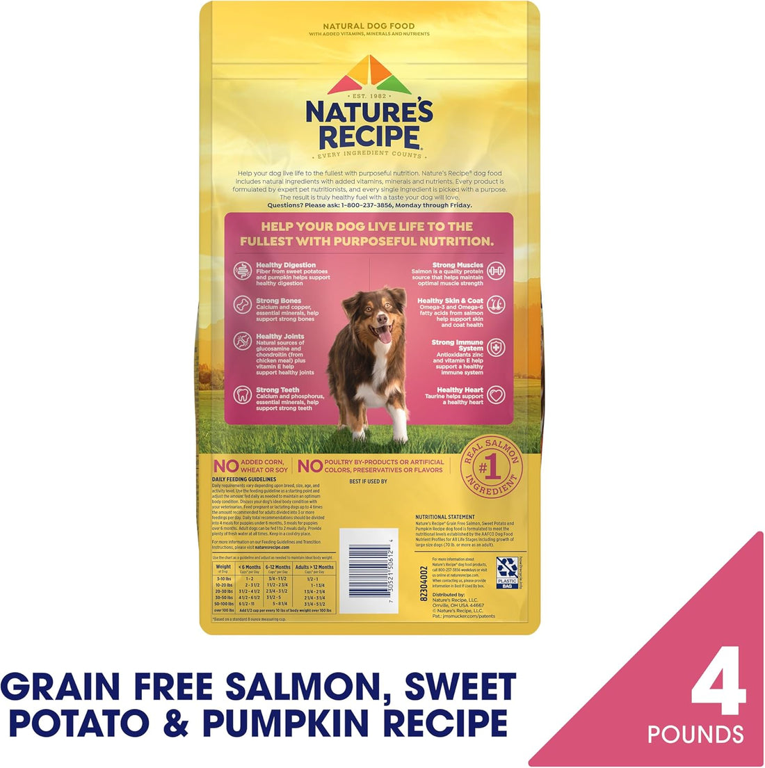 Nature's Recipe Grain Free Dry Dog Food, Salmon