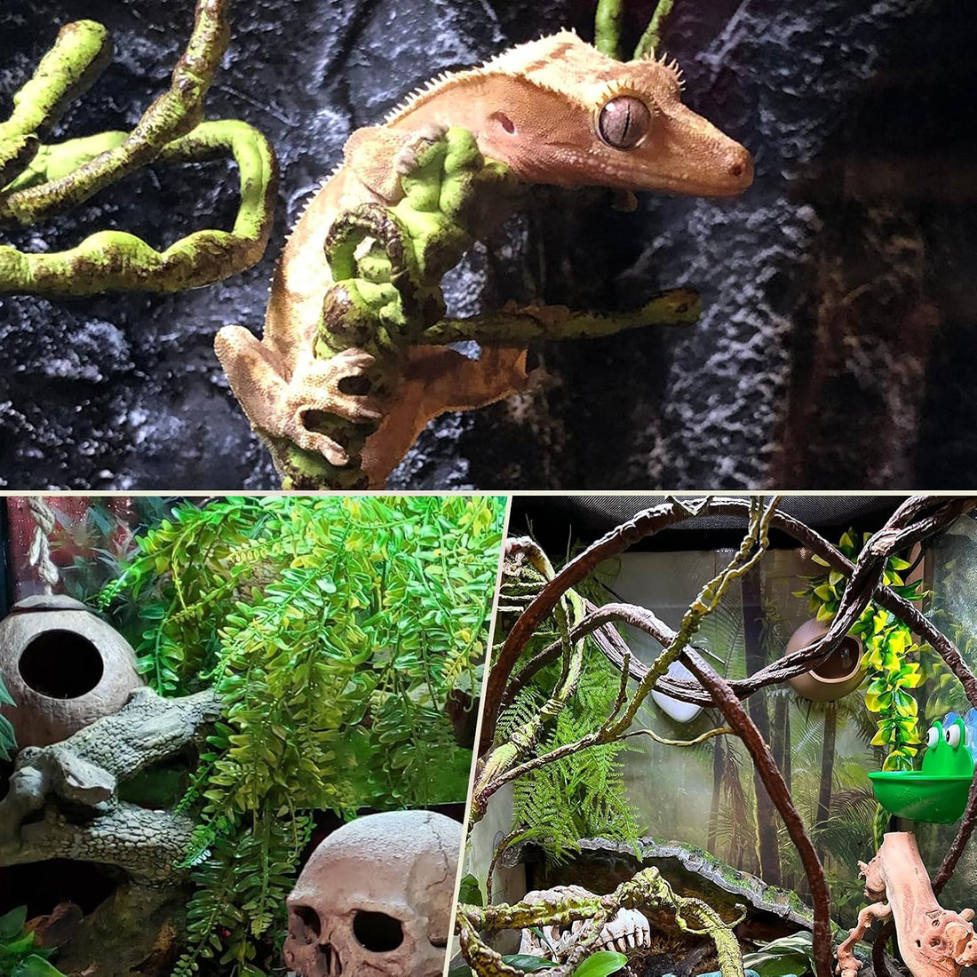 PINVNBY 10 PCS Reptile Plants Vine