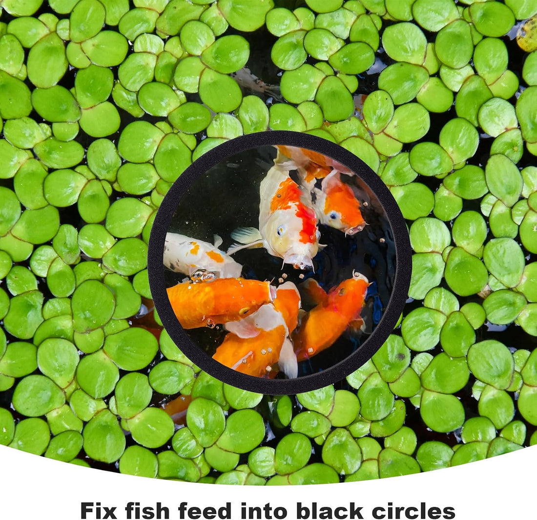 PAGOW 10pcs Fish Feeding Rings Set