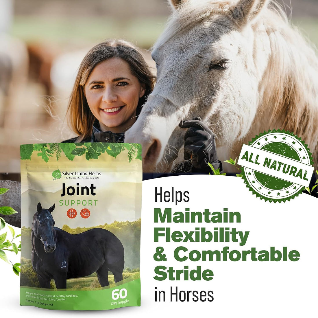 Silver Lining Herbs Horse Joint Supplement - Mobility & Comfort