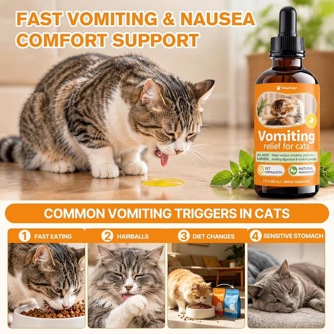 Cat Vomit Remedy, Targeted Treatment for Stomach Upset