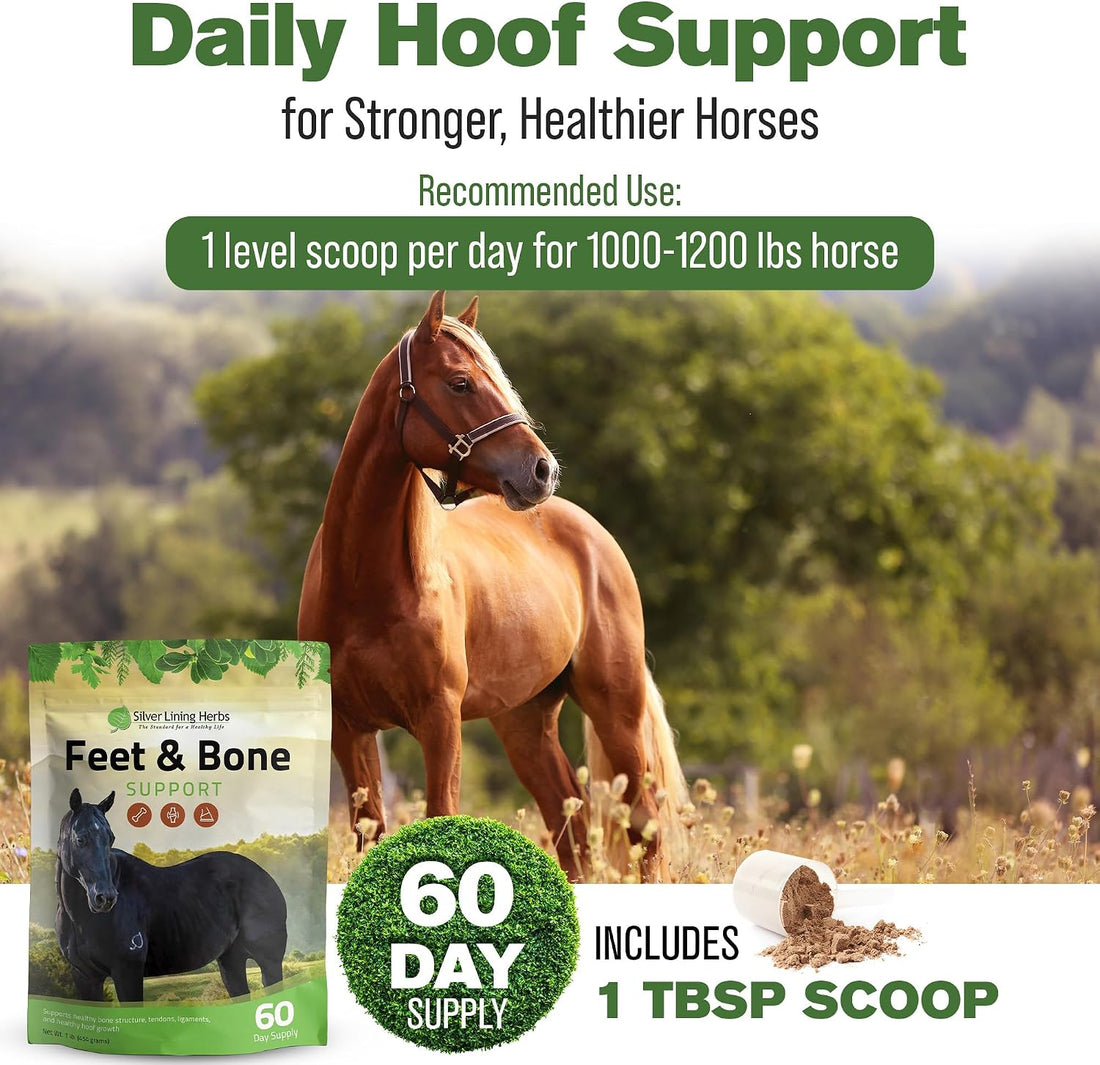 Silver Lining Herbs Feet & Bone Horse Hoof Supplements, Tendons