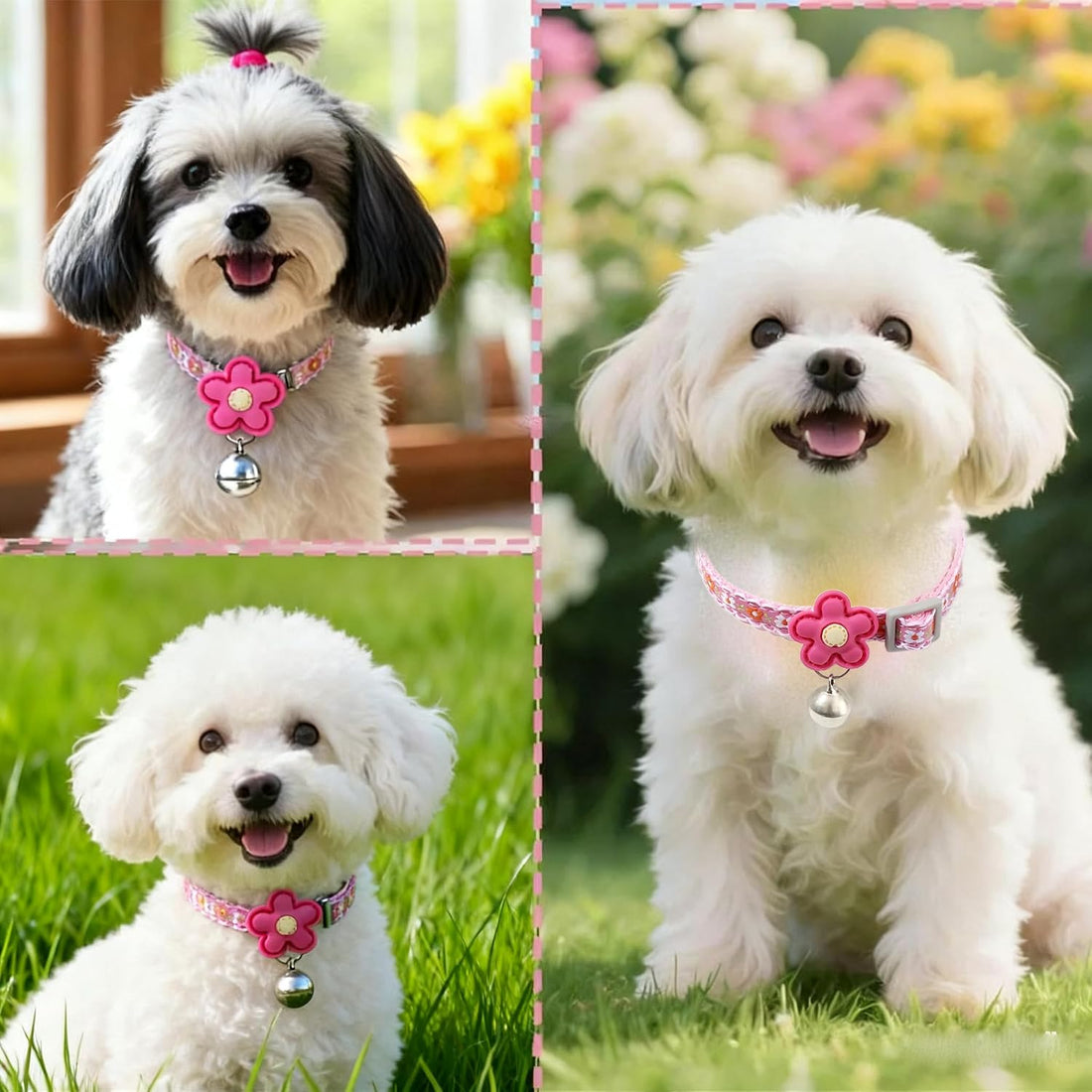 Pink XXS Dog Collar with Bell Set