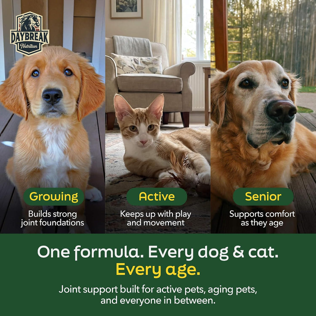 Pure Green Lipped Mussel Powder for Dogs and Cats