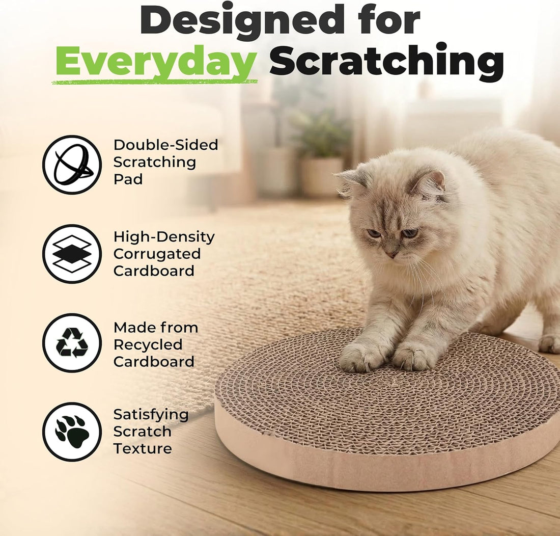 Best Pet Supplies Catify Cat Scratcher, Fun Interactive Scratchers