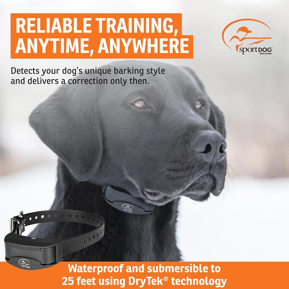 SportDOG NoBark Rechargeable Bark Collar
