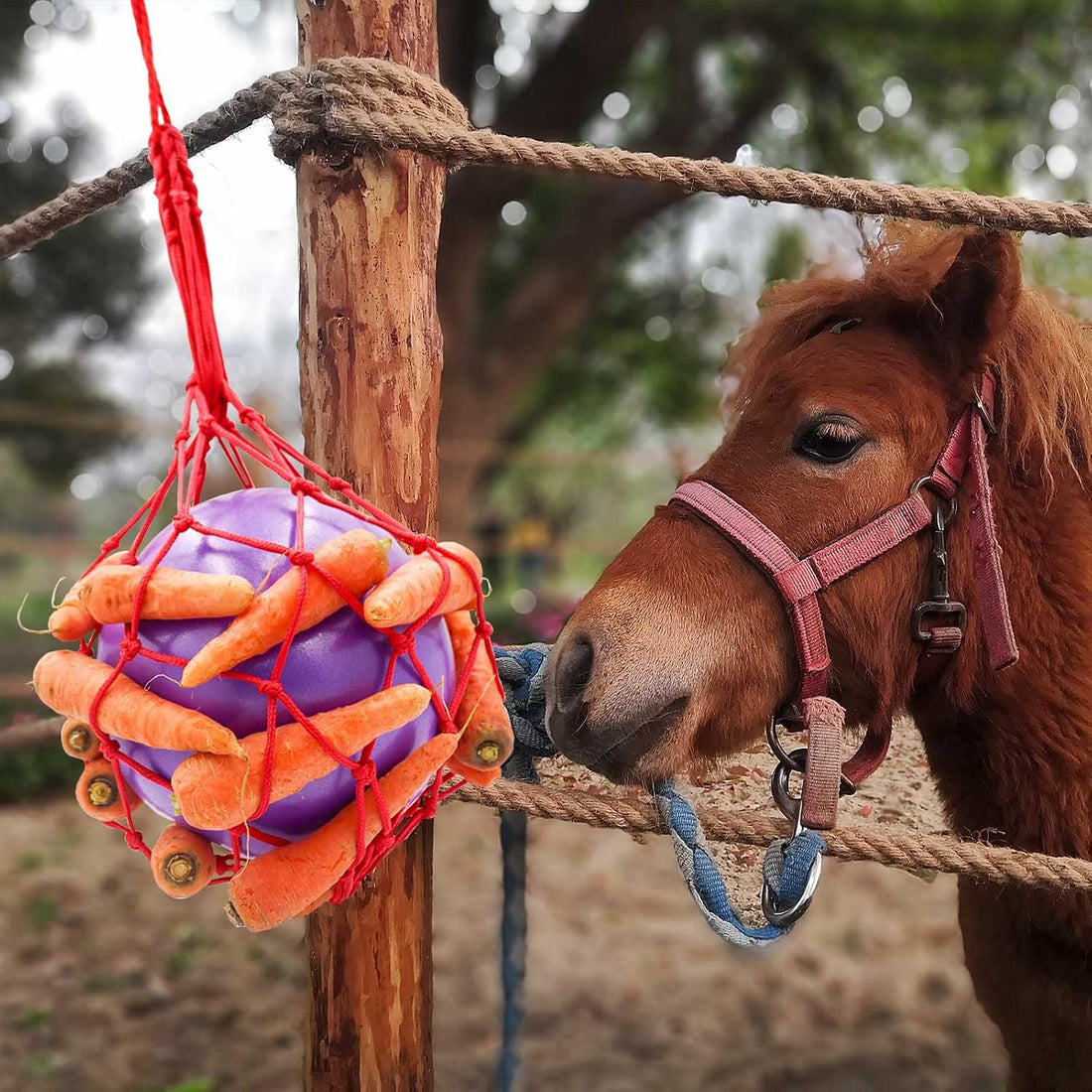 Tirifer Carrot Feeder Ball Toy for Horse, Goat, Sheep - Stress Relief