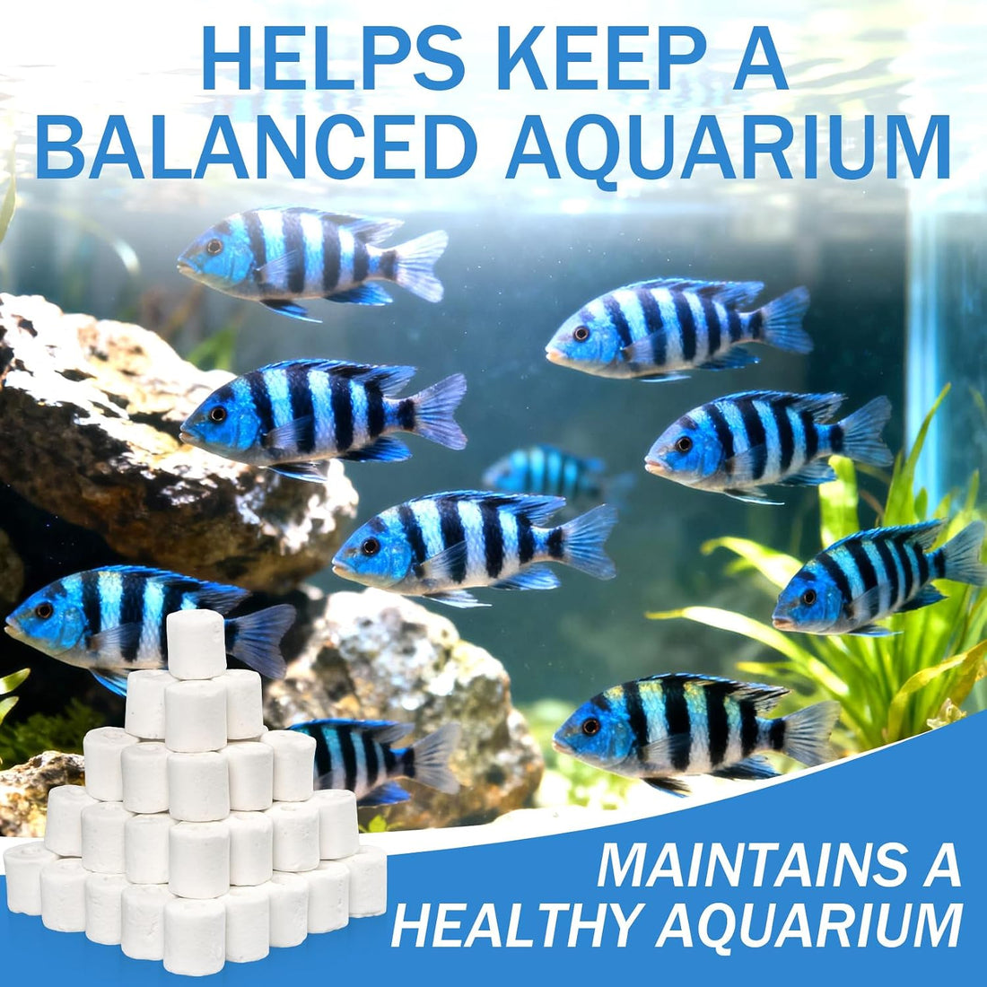 Sukh Ceramic Rings for Aquarium Filter