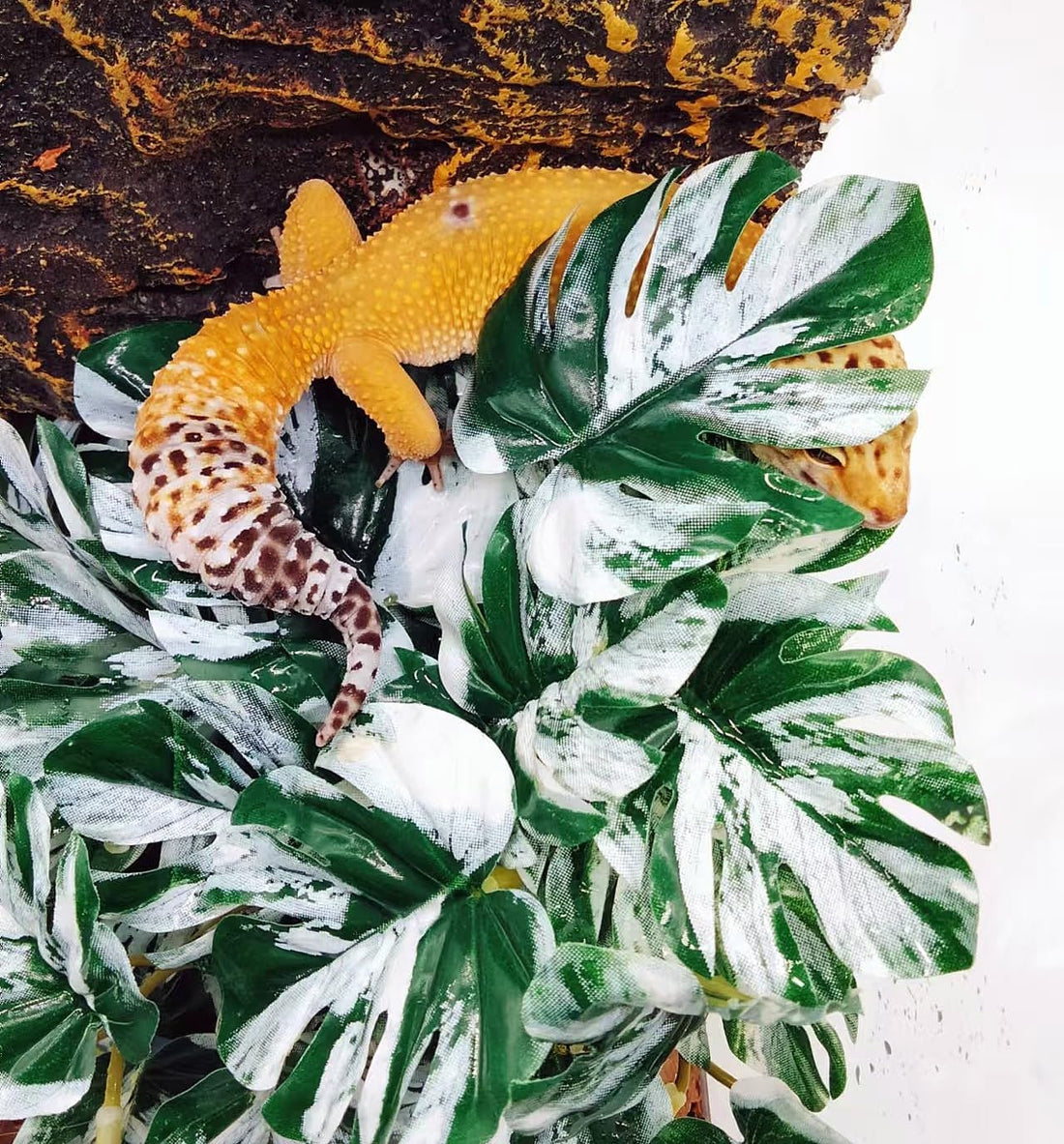 Reptile Plants for Terrarium, Reptile Tank Decor,Artificial Plants