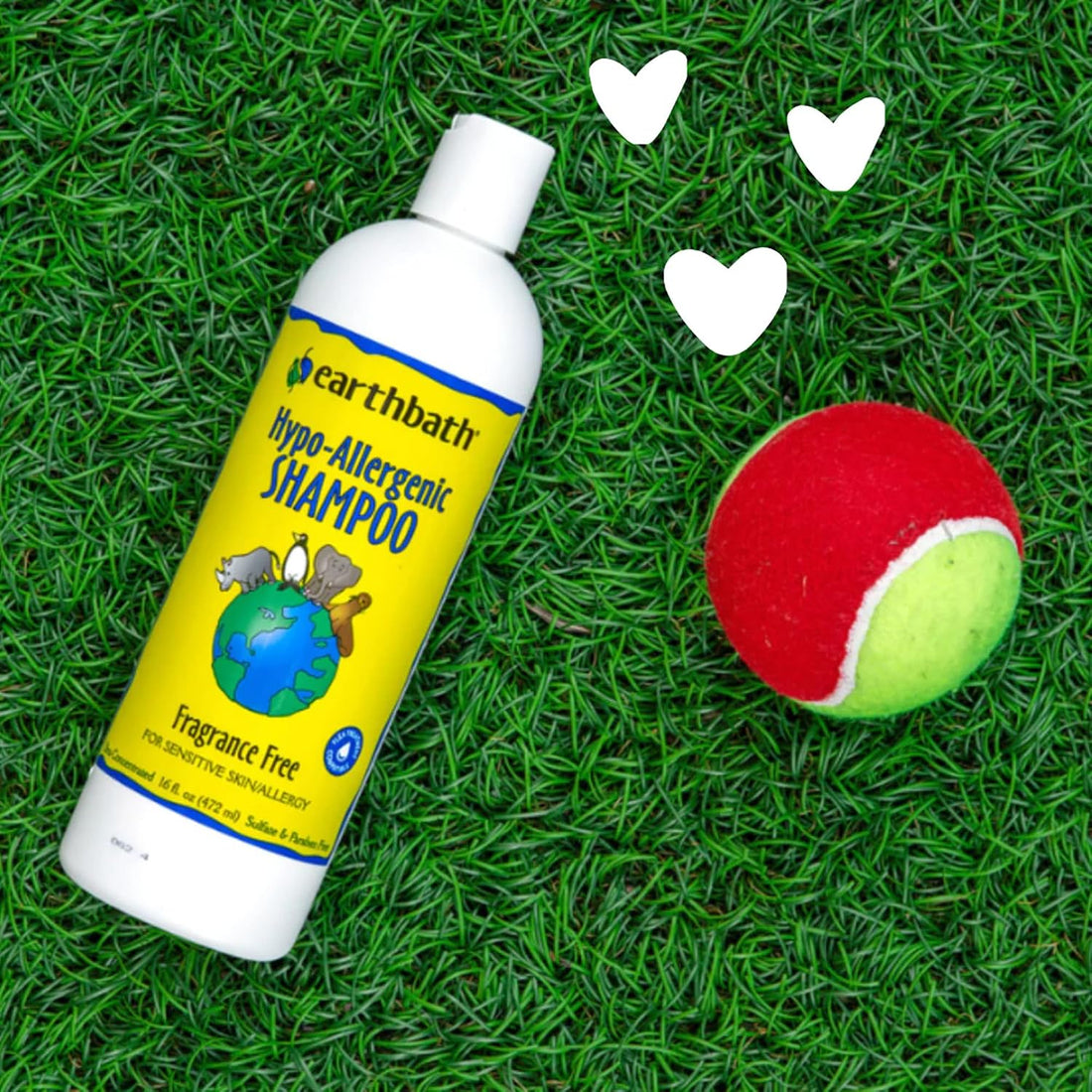 earthbath, Hypoallergenic Dog Shampoo