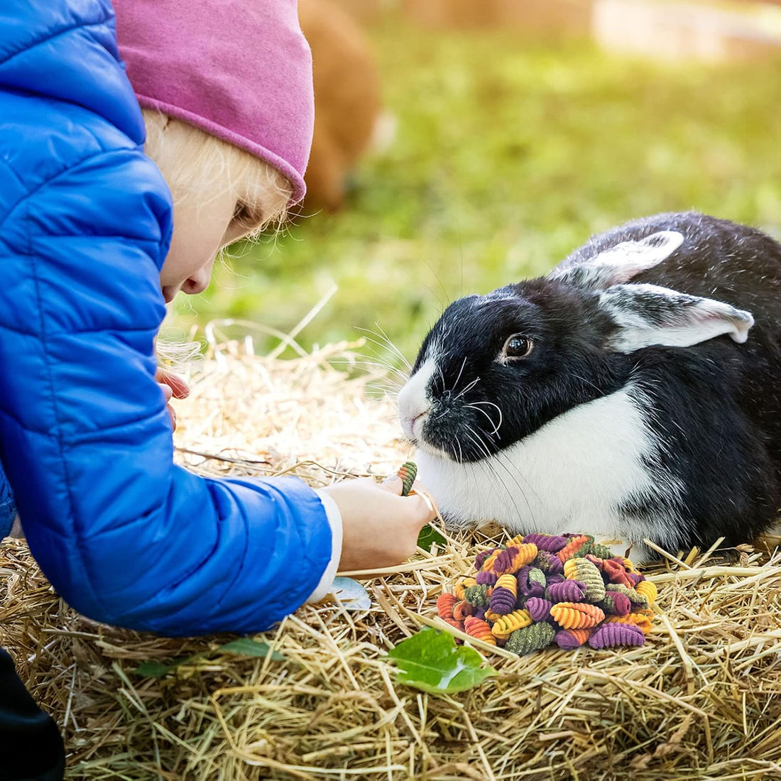 ERKOON Chinchilla Treats, Chew Toys for Teeth for Rabbit Guinea Pig