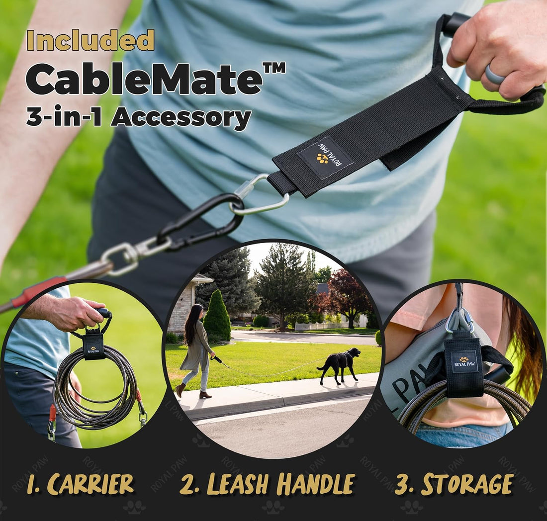 ROYAL PAW Dog Tie Out Cable and Stake 30ft