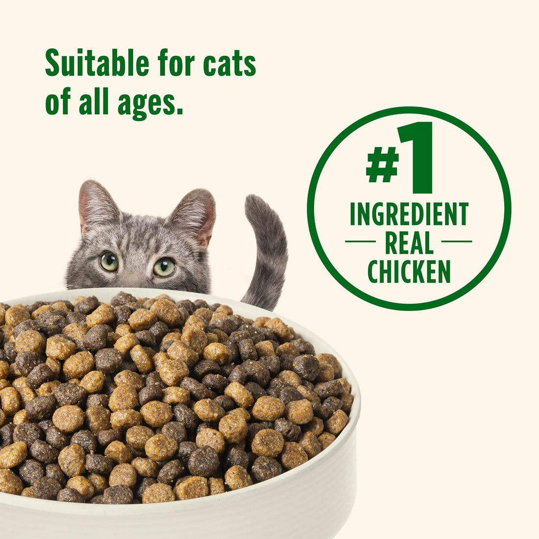 Nutrish Premium Natural Dry Cat Food, Real Chicken & Brown Rice Recipe