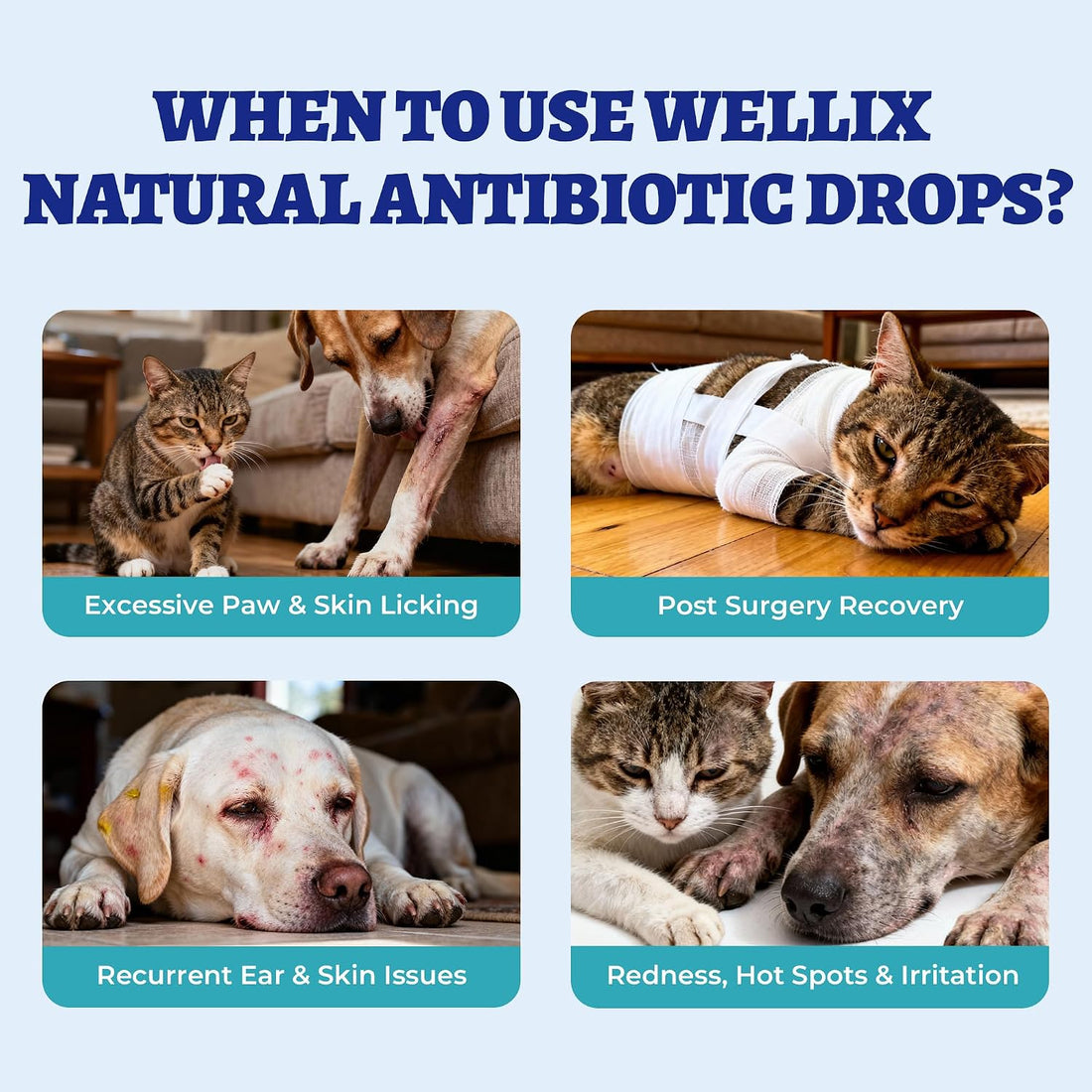 Wellix 120ml Natural Antibiotics for Cats&Dogs