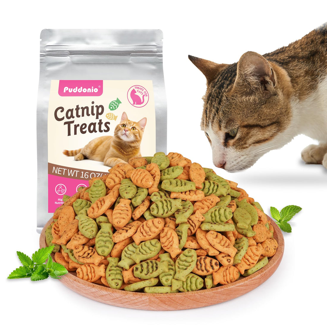 Puddonio Catnip Cat Treats, Chicken & Salmon Flavor Crunchy Cat