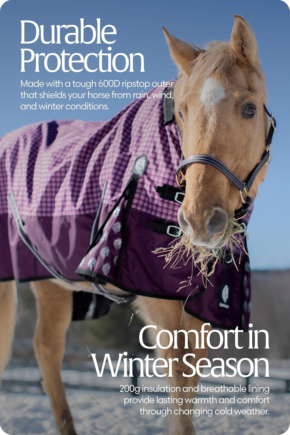 Equinavia Norse 200g Medium Weight Horse Blanket