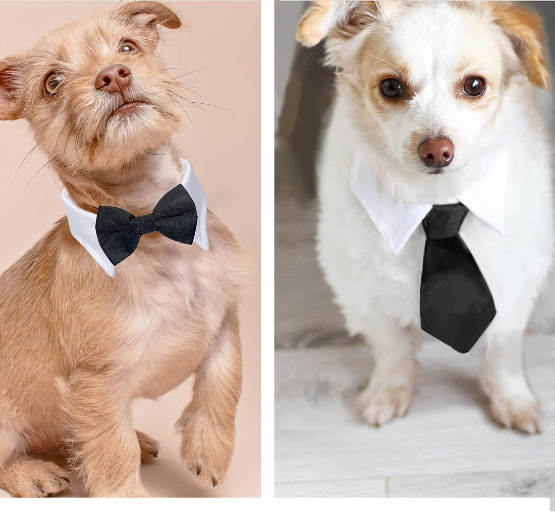Dog Cat Tuxedo Collar, Cat Wedding Bowtie, Bow Tie Tux Costume