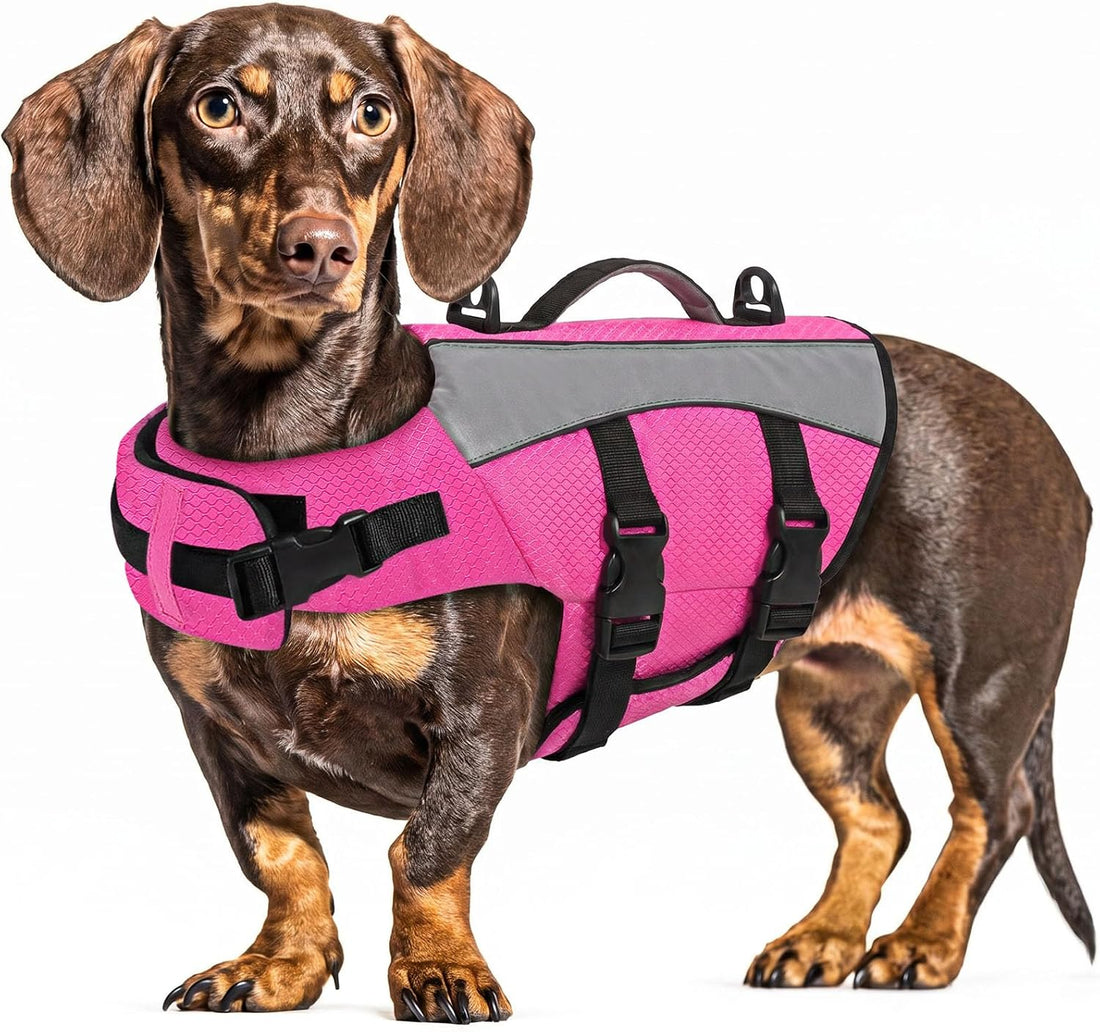 Queenmore Dachshund Life Jacket, Reflective Small Dog Swim Vest