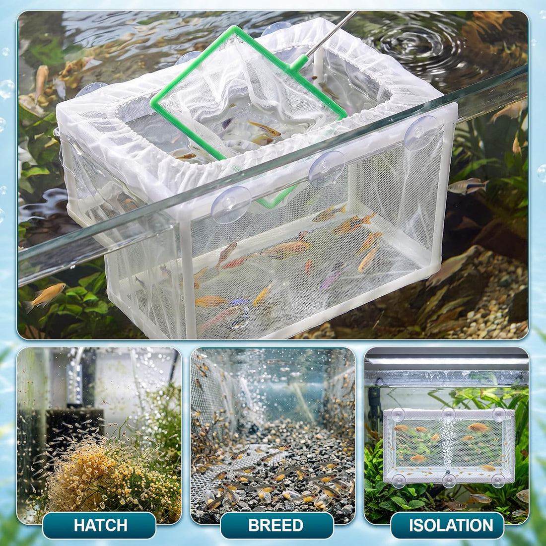 Teyva 3 Set Fish Breeder Box for Aquarium Nylon Mesh Hatchery Fry Net
