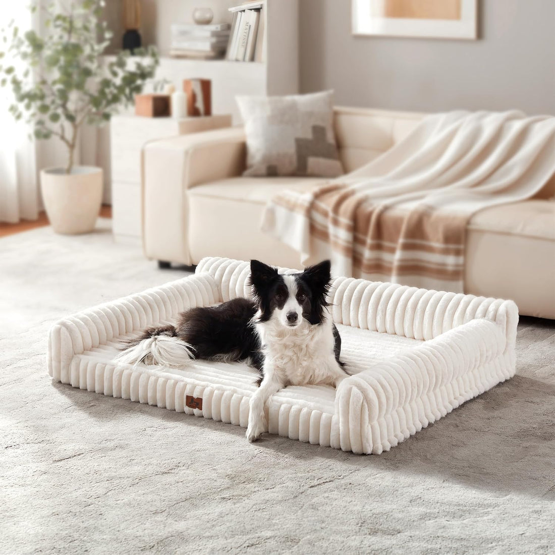 Orthopedic Dog Bed Large 35x25x9.5” Washable Cover