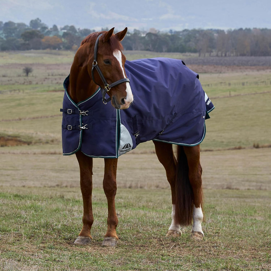 WeatherBeeta ComFiTec Plus Dynamic Turnout 0g, Navy/Forest Green, 81"