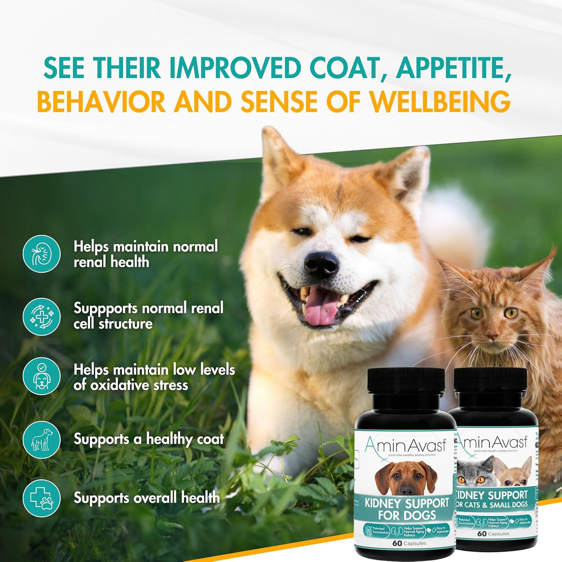 AminAvast 1000 mg Kidney Support for Dogs, 3 Bottles