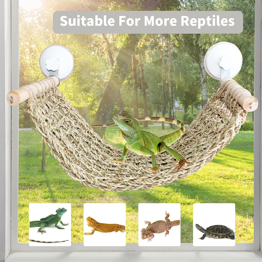FlidRunest 21.6 x 7.8 in Seagrass Bearded Dragon Hammock for Window