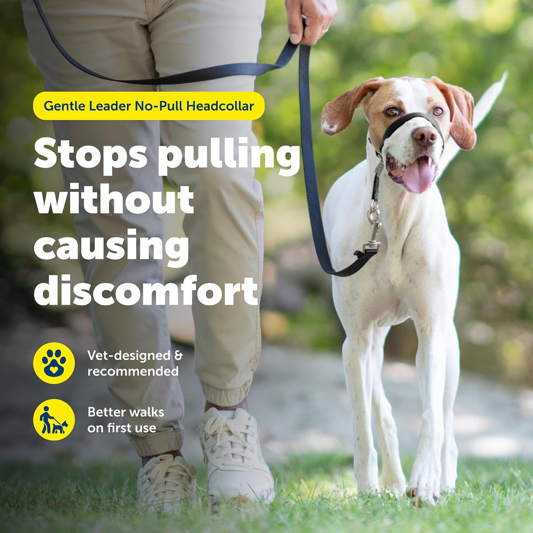 PetSafe Gentle Leader No Pull Dog Headcollar