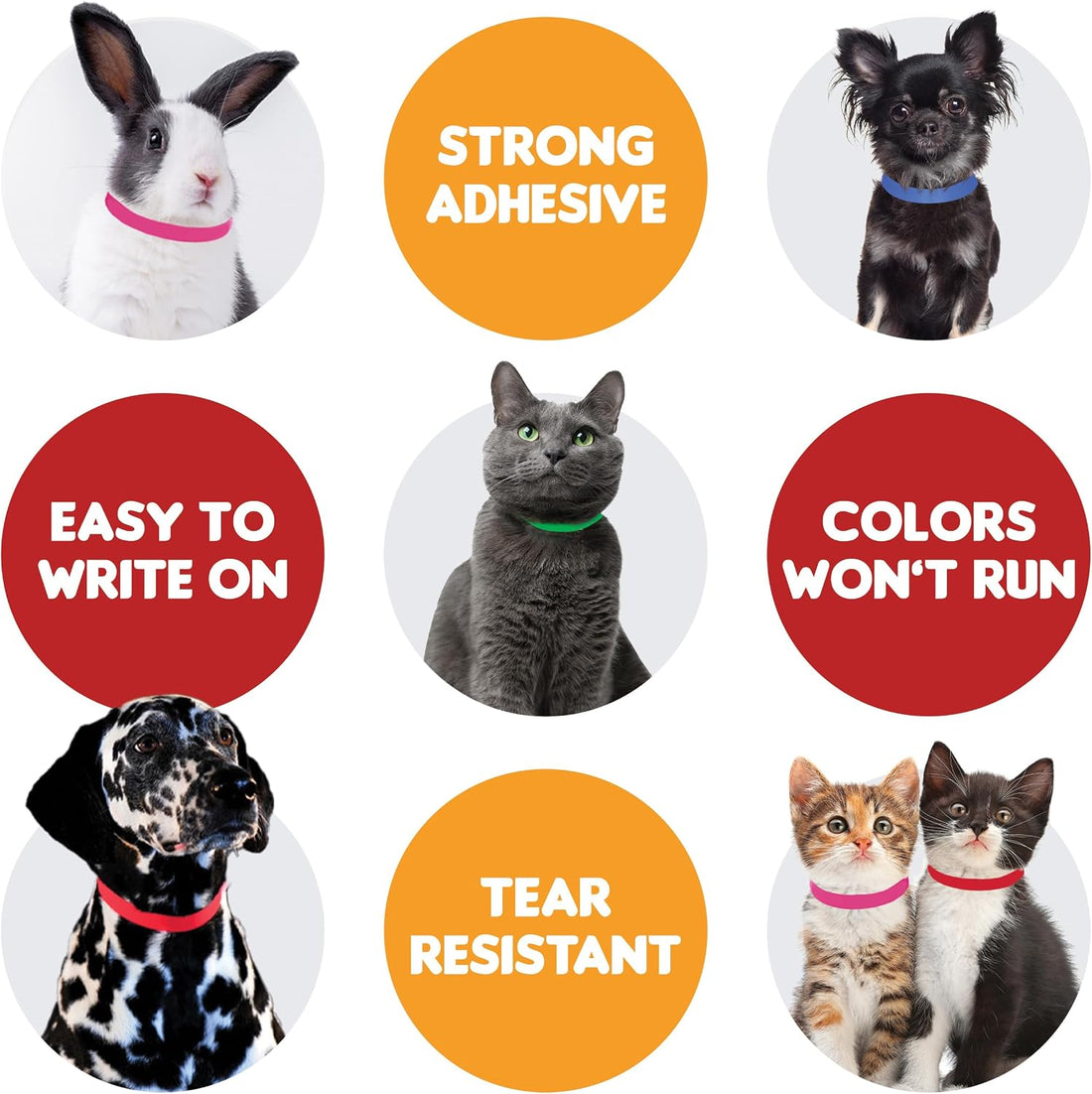 Max Premium Pet ID Collars - 20 Inch - 500 Count - Variety