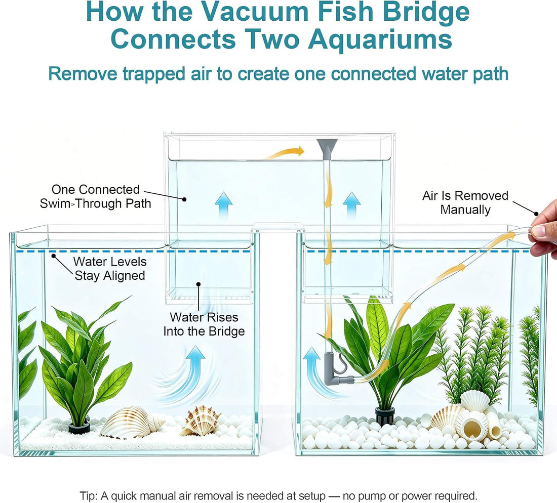 Two-Tank Aquarium Bridge, 4 in Gap Negative Pressure Fish Tank Kit