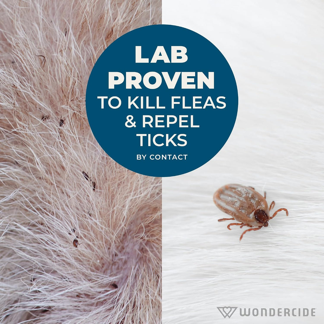 Wondercide - Flea & Tick Shampoo for Dogs and Cats