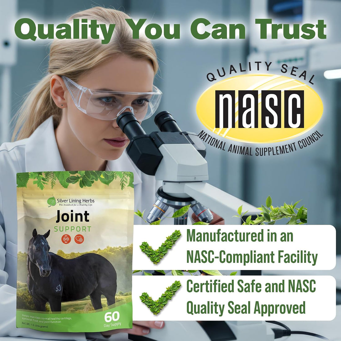 Silver Lining Herbs Horse Joint Supplement - Mobility & Comfort