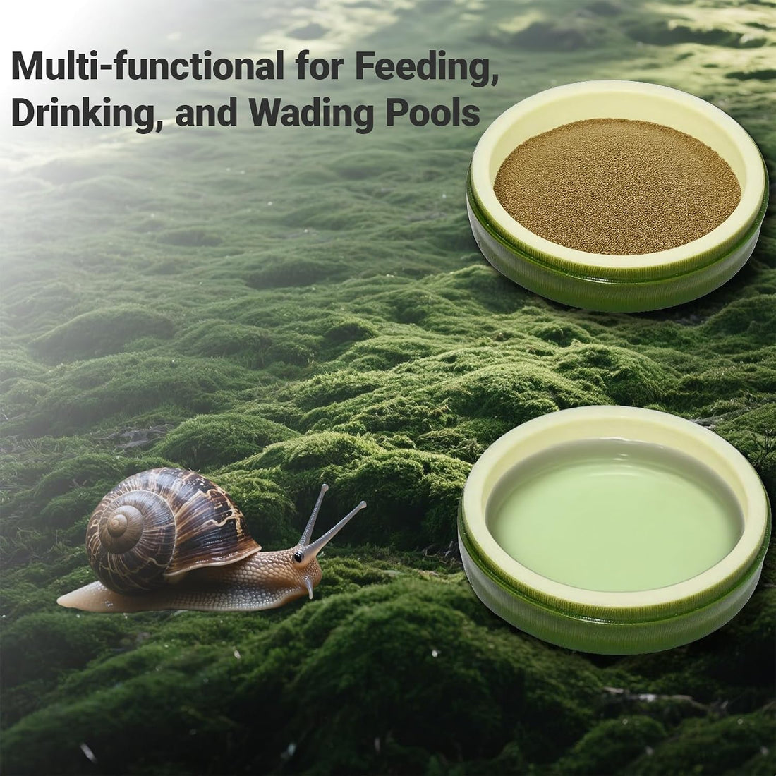2 Pack Snail Water and Food Bowl，atural Design Food Bowl for Pet