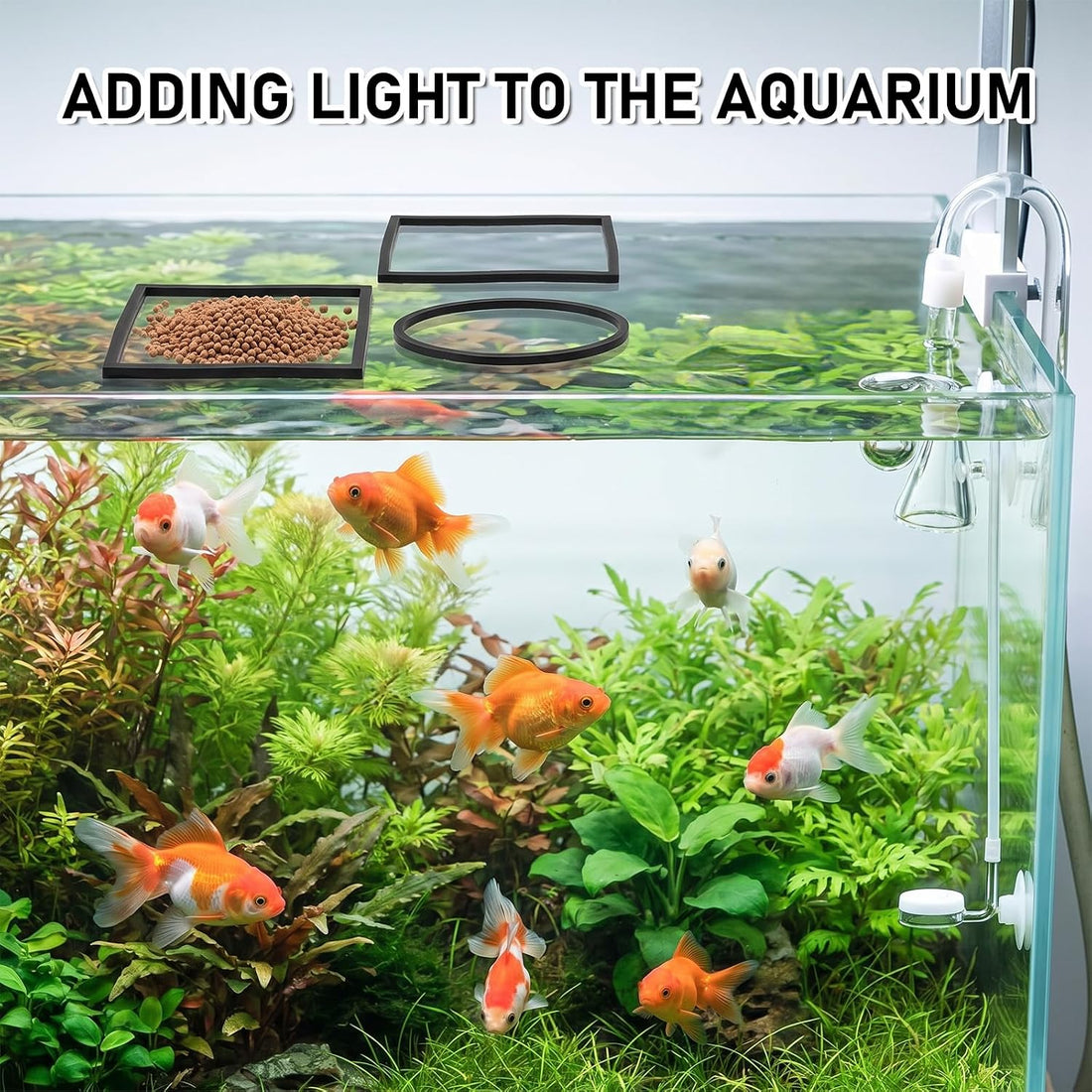 10 PCS Aquarium Floating Plant Barrier