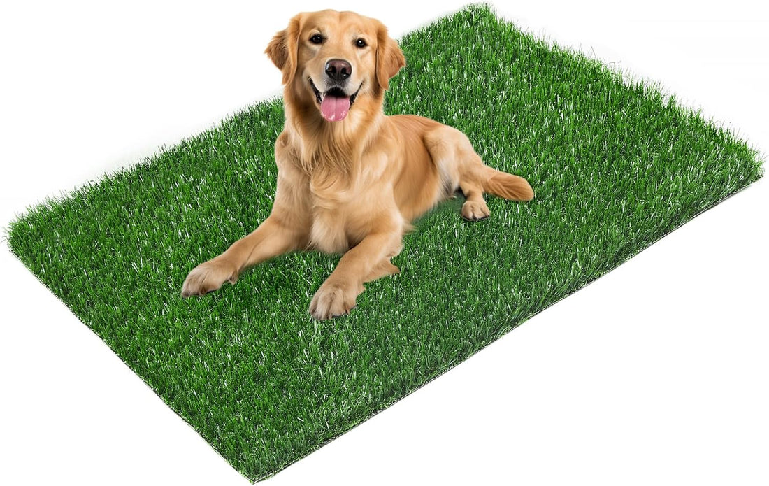 LOOBANI 33.2in x 21in Replacement Artificial Grass for Dogs Potty