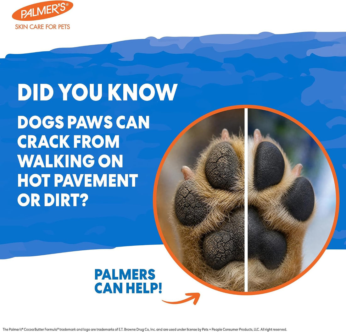 Palmers for Pets Cocoa Butter Paw Pad and Nose Balm for Dogs