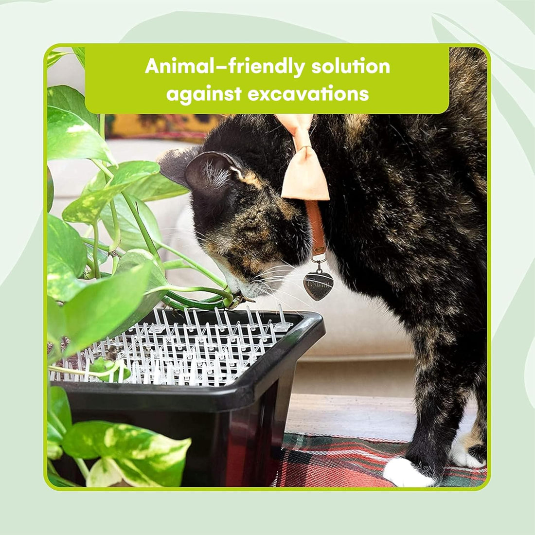 Homarden Transparent Training Mat for Cats