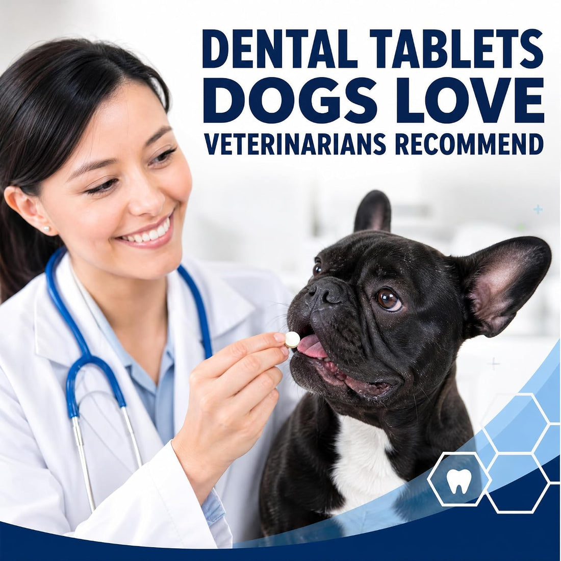 Dog Gingivitis Treatment, Gum Disease Treatment & Dog Tooth Pain