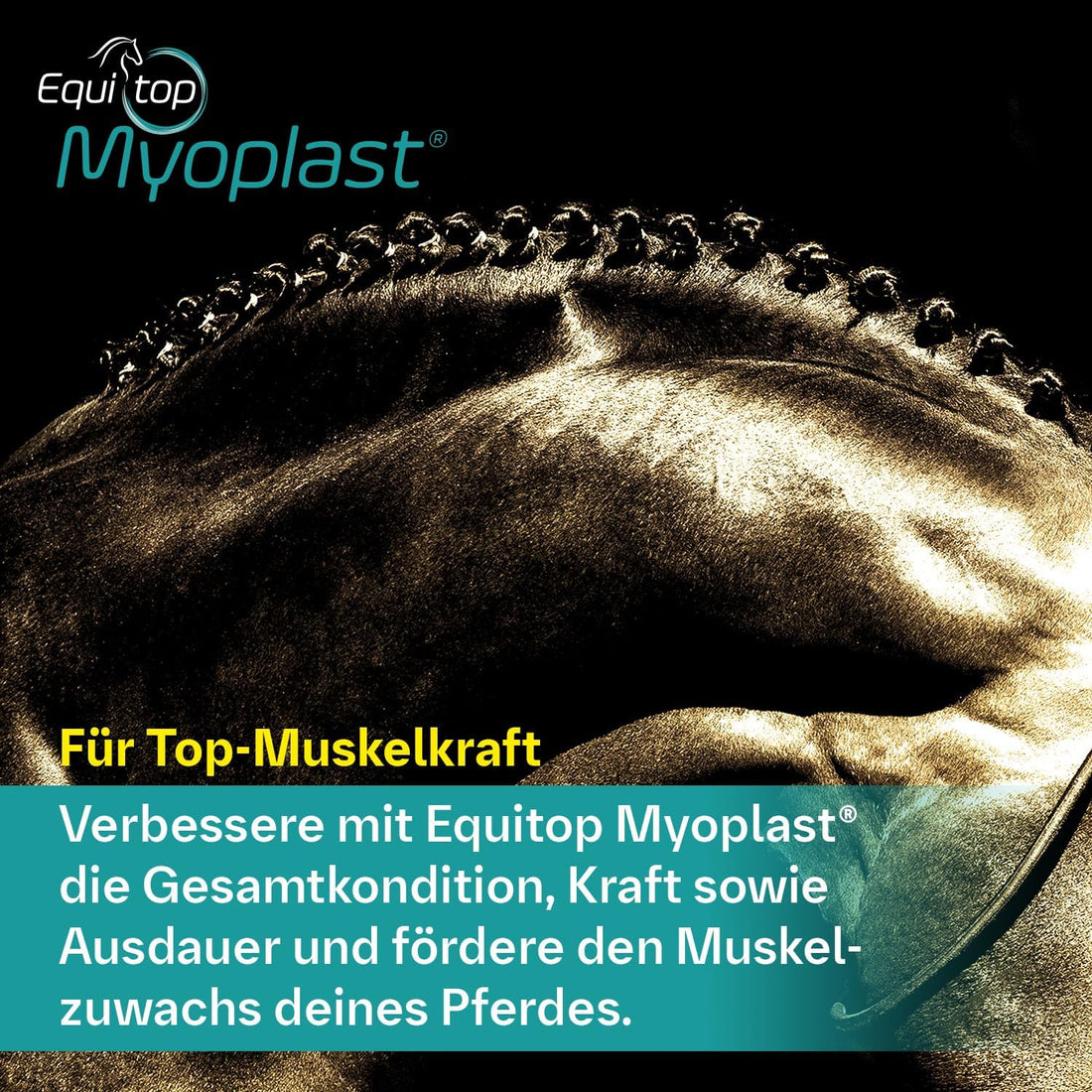 Equitop Myoplast Supplement for Horses 1.5kg