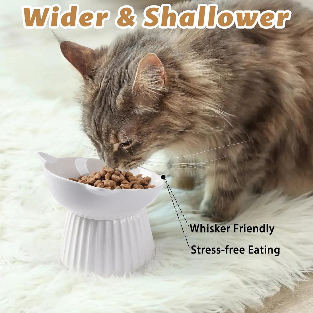 Wellbro Ceramic Raised Cat Bowl，Tilted Raised Cat Bowl Anti Vomit Cat