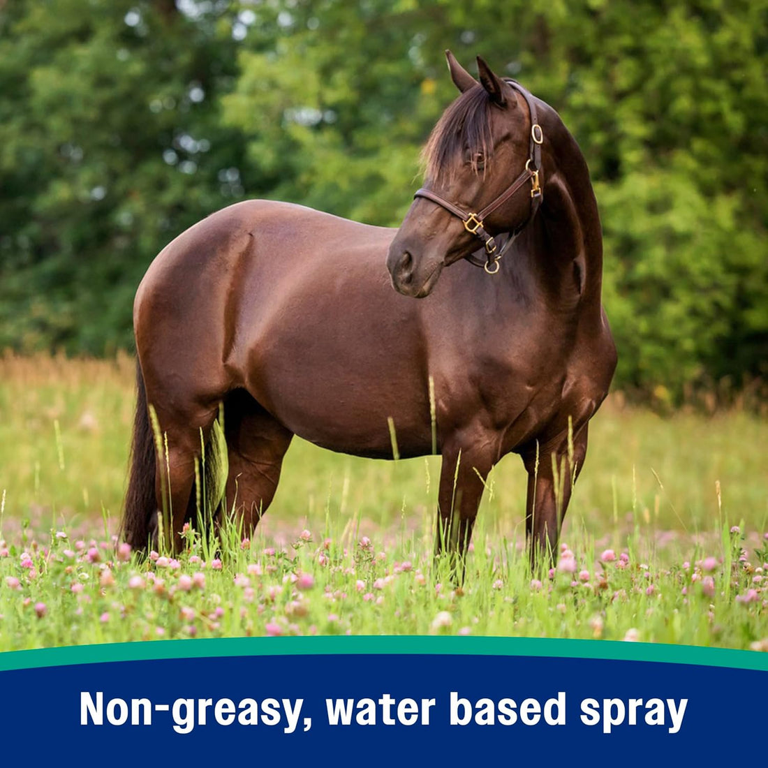 Farnam Nature’s Defense Botanical Fly Repellent Spray for Horses